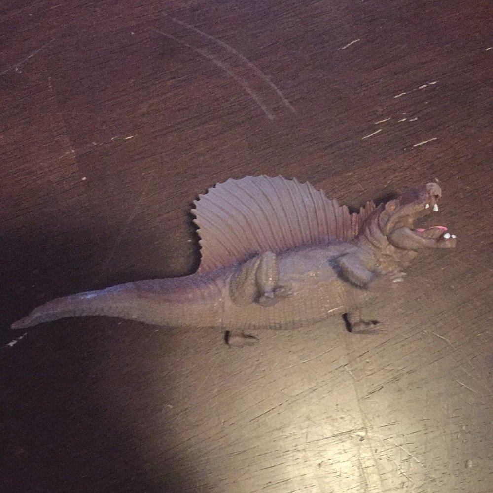 2 pc of dinosaurs